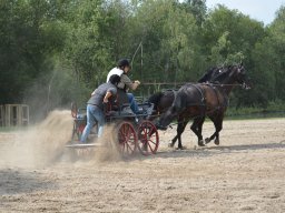 DSC_9197_web
